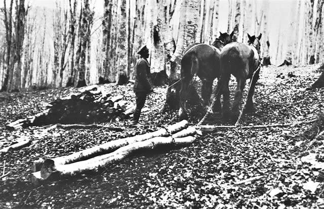 SS Mendi Film